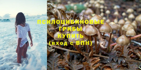 МДПВ Алзамай