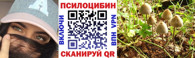 МЕГА зеркало  цены наркотик  Краснообск  Галлюциногенные грибы мухоморы 